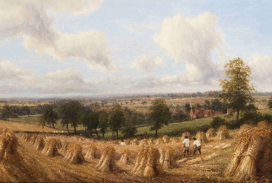 Thomas Baker - The Harvesters