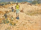Walking Amongst the Sandunes, Cornwall