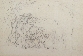 Tribe of Benjamin Seizing their Brides