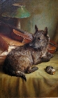 A Trusty Companion