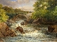 Rushing Waters
