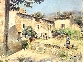 Cour De Ferme Provencale