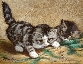 Playful Kittens
