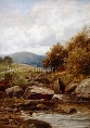 A Tributary of the Lledr
