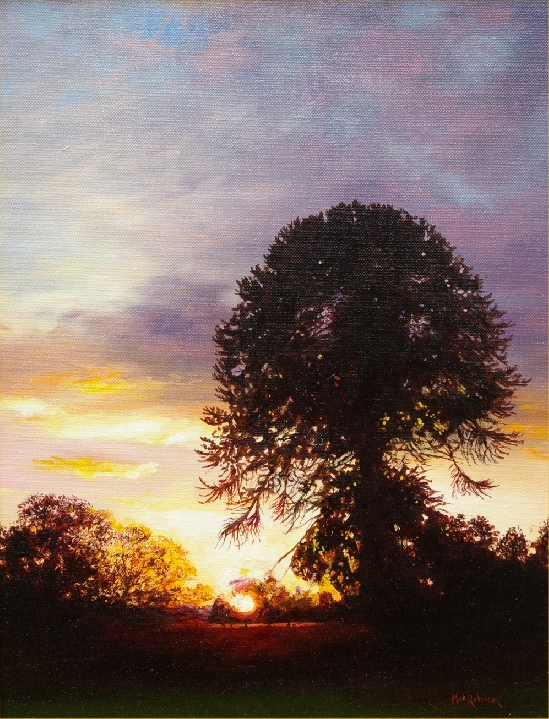 Mick Robinson - Monkey Puzzle Tree