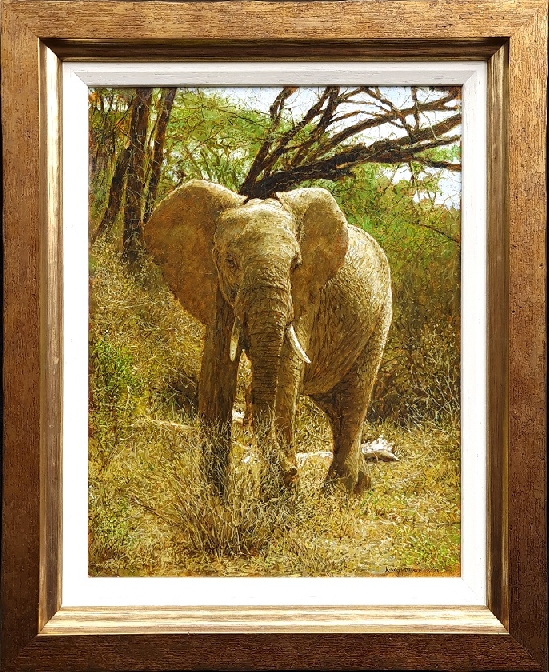 Tony Karpinski - Elephant, Samburu
