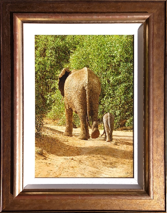 Tony Karpinski - Elephant Mother and Baby