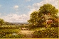 Country Life