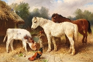Hunt14959