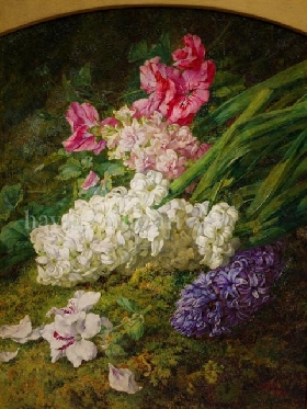 Summer's Riches