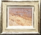 Open Sands