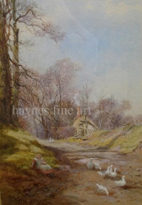 Watching the Geese