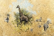Shepherd14580jpgweb