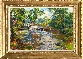 The Shady Pool