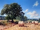 Road to Chastleton