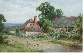 A Country Lane