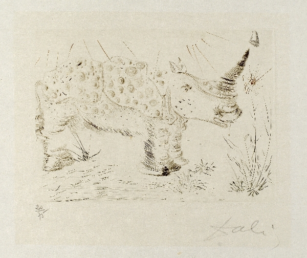 Dali12645