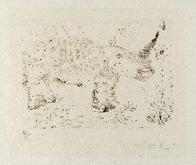 Rhinoceros