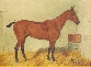 Harkaway