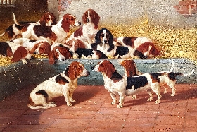 Bassets