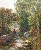 Woodland Stream