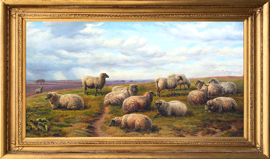 Charles Jones - Sheep Resting