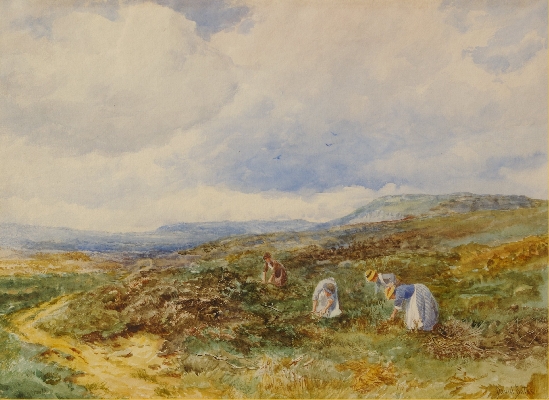 David Bates - Gathering Heather Stalks