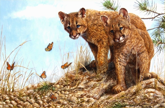 Mark Chester - Mountain Monarchs