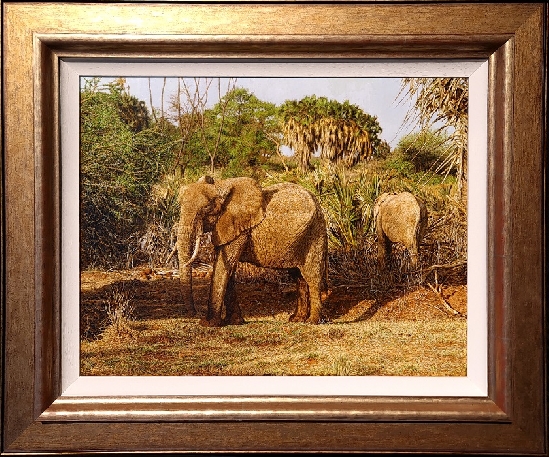Tony Karpinski - Elephants Feeding