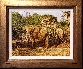 Elephants Feeding