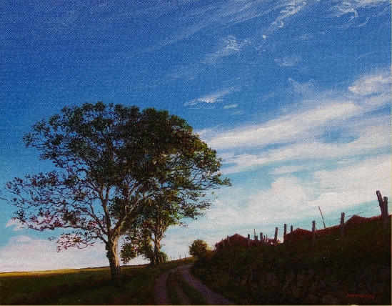 Mick Robinson - A Farm in North Wales