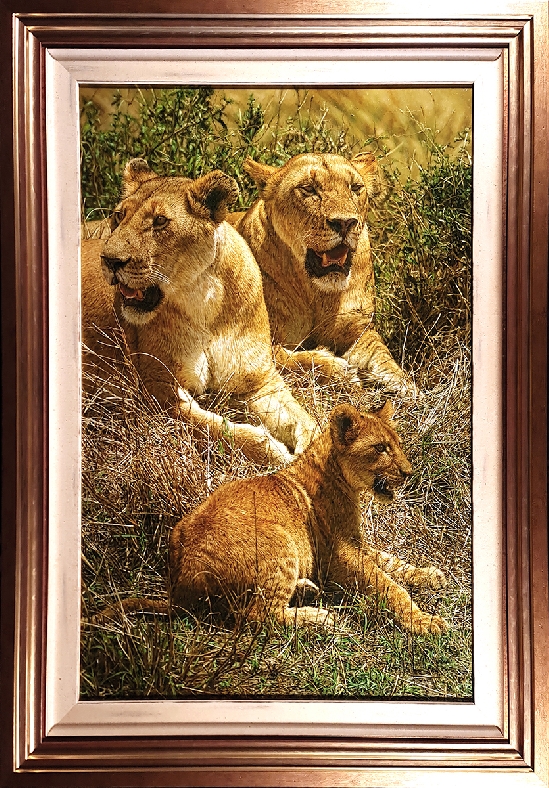 Tony Karpinski - Lionesses and Cub, Masai Mara
