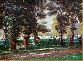 Kensington Gardens in June