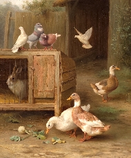 Hunt16843web