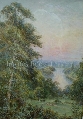Evening Light over the River