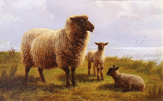 Charles Jones - Sheep Resting