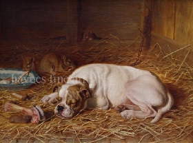 Whilst the Sleeping Dog Lies
