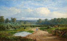 An Afternoon Stroll