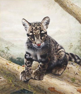 Leopard Cub