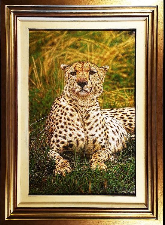 Tony Karpinski - Cheetah