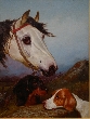 Head of a Grey Pony with Two Setters