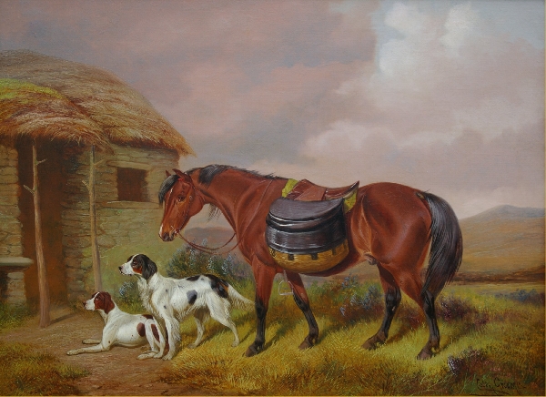 Roe11642